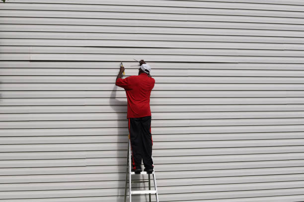 Best Vinyl Siding Installation  in Williamstown, KY
