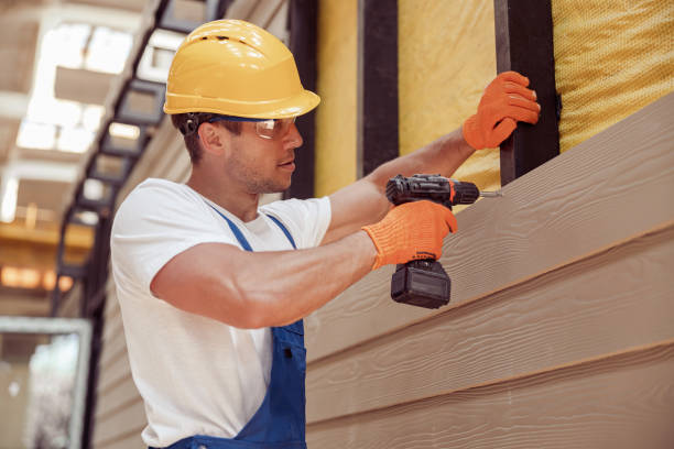 Best Stucco Siding  in Williamstown, KY